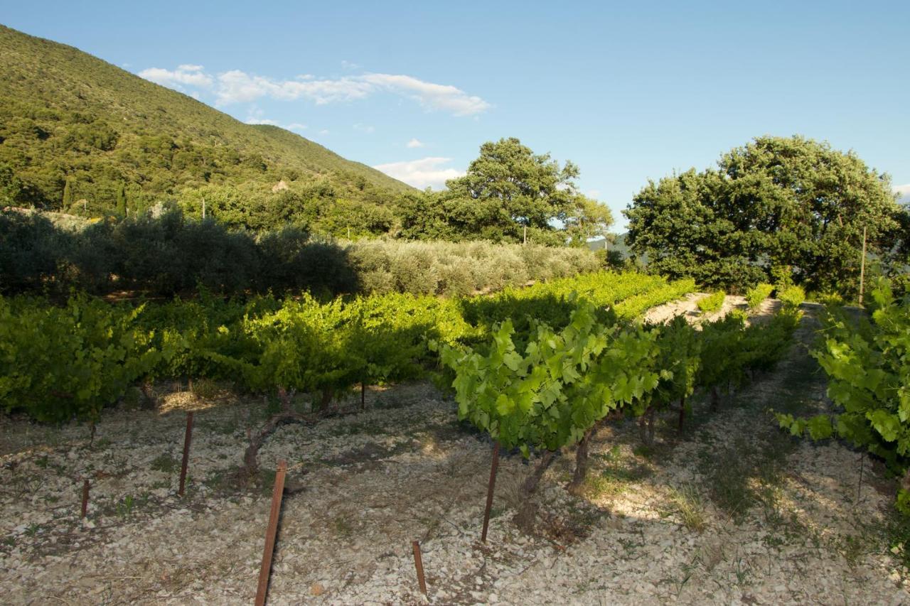 Mas Provencal La Serallere Au Coeur Des Oliviers Venterol  Bagian luar foto