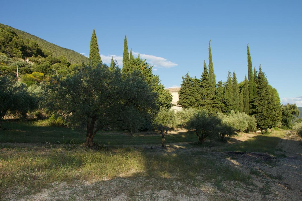 Mas Provencal La Serallere Au Coeur Des Oliviers Venterol  Bagian luar foto