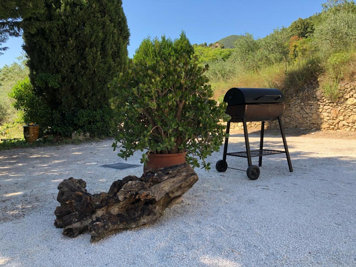 Mas Provencal La Serallere Au Coeur Des Oliviers Venterol  Bagian luar foto
